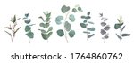 mix of herbs and plants vector... | Shutterstock .eps vector #1764860762