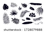 stock vector set of tropical... | Shutterstock .eps vector #1728079888