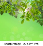 tree leaf on nature background | Shutterstock . vector #275594495