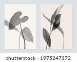 botany poster template design ... | Shutterstock .eps vector #1975247372