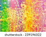 flower background. beautiful... | Shutterstock . vector #239196322