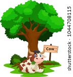 Funny Cow Under A Shady Tree...