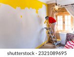 Small photo of Yellow Wall Revamp: Woman Transforms Her Home with Paint