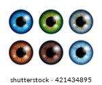 Human Eyeballs Iris Pupils Set...