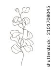 eucalyptus branch vector in... | Shutterstock .eps vector #2101708045