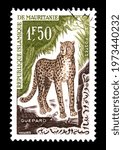 Small photo of Ankara, Turkey - 14 May 2021: A Mauritania postage stamp shows a cheetah guepard. Circa 1963...