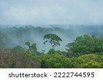 Small photo of View of a quickly evaporation of water in the amazon forest, after a rainstorm, a phenomenon known as flying river - Manaus, Amazonas, Brazil