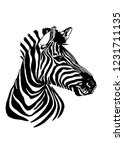 Graphical Portrait Of Zebra...