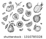 hand drawn different fruits... | Shutterstock . vector #1310785328
