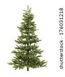 An Undecorated Coniferous...
