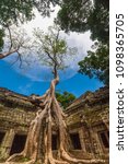 Small photo of The famous spot of the Ta Prohm temple (Rajavihara) in Angkor, Siem Reap, Cambodia; where the gallery ruin is held in a stranglehold of this tall Tetrameles tree with its huge strong roots.