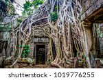 Ta Prohm. The Ancient Temple Of ...