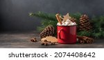 Small photo of Cup of hot cocoa with marshmallow and cinnamon stick surrounded by spruce branches. Cozy seasonal holidays. Side view, dark background