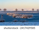 Small photo of a small mound with snow covered plants in the water of the Kleiputte biotope in Brake Unterweser (Germany) on a sunny winter morning