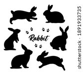  Rabbit Set. Isolated. Bunny...