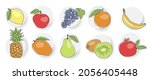 collection of fresh  colorful... | Shutterstock .eps vector #2056405448