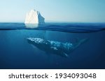 Iceberg in the ocean under water with a whale. Wild life at sea. A beautiful whale swims underwater with an iceberg. Global warming, concept