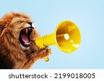 Cool beautiful lion holding and screaming into a yellow loudspeaker on a blue background. Business management and boss, a creative idea. Successful advertising and management, concept. Attention