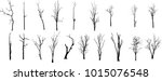 Dead Tree Without Leaves Vector
