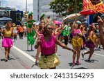 Small photo of Belo Horizonte - Minas Gerais - Brasil - JAN 12 2024: Revelers at the Belo Horizonte Carnival Dress Rehearsal