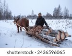 Small photo of A man sits on a cart with firewood, in winter, drawn by a horse. Winter wood harvesting, forester, woodcutter.