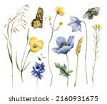 Collection Of Watercolors With...