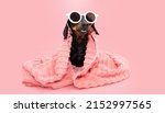 Small photo of Dog summer bathing. Dachshund puppy wrapped with a coral towel and wearing sunglasses and funny expression. Isolated on pink background