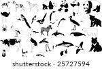 collection of vector... | Shutterstock . vector #25727594