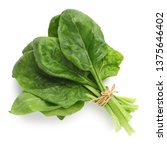 Bundle of fresh spinach isolated on white, top view