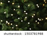 Fir Tree Branches With Glowing...
