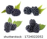 Set of ripe blackberries on white background 