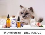 Aromatherapy for animals....