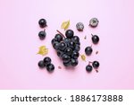 Bunch of ripe dark blue grapes with leaves on pink background, flat lay