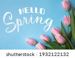 Hello Spring. Beautiful pink tulips on light blue background, flat lay