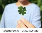 Woman holding green four leaf...