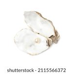Open Oyster Shell With Pearl On ...