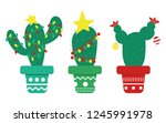 Mexican Christmas Cactus With...