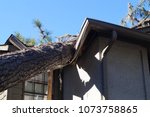 Roof damage from tree that fell over during hurricane storm 