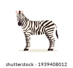 african zebra. animal design....