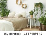 Stylish interior of bedroom with green houseplants
