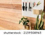 Houseplants And Pegboard With...