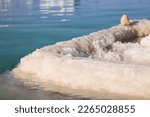 Pillar of salt in Dead Sea, closeup