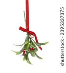 Mistletoe branch with bow on...