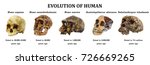 evolution of human skull  ... | Shutterstock . vector #726669265