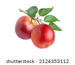 Two Red Apples With Green...