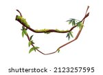 liana or vine winding branches... | Shutterstock .eps vector #2123257595