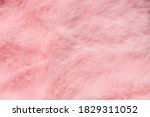 Pink Fur Texture Top View....