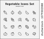 thin line icons set of... | Shutterstock .eps vector #1079302088