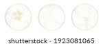 feminine logo design templates... | Shutterstock .eps vector #1923081065