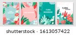 vector set floral background ... | Shutterstock .eps vector #1613057422